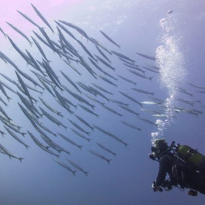 PADI Advanced Open Water Diver Course | S'Algar Diving Menorca