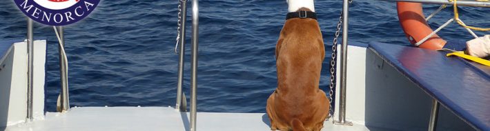 Lima on boat watch | S'Algar Diving Menorca